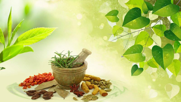 Ayurvedic PCD Franchise Company in India