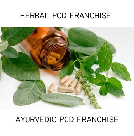 Ayurvedic PCD Pharma Franchise Herbal PCD Franchise Ayurvedic PCD Franchise Top PCD Pharma Franchise